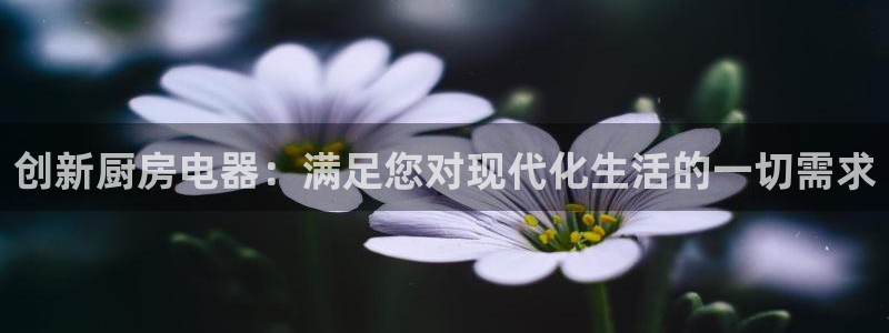 琥珀鸿运是个国际平台吗