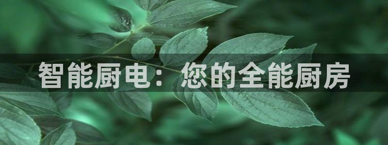 鸿运商旅平台