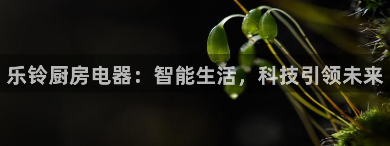 鸿运app平台