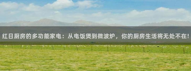 鸿运对战平台