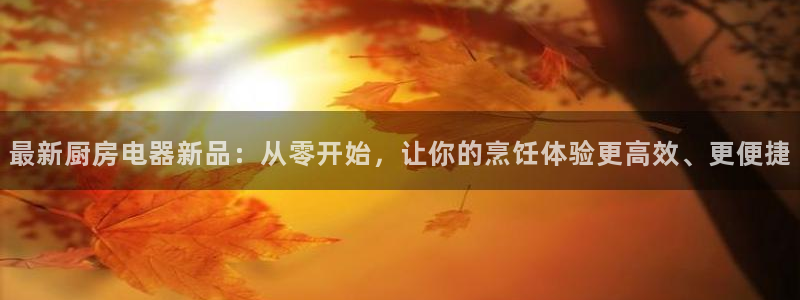 鸿运28投注平台