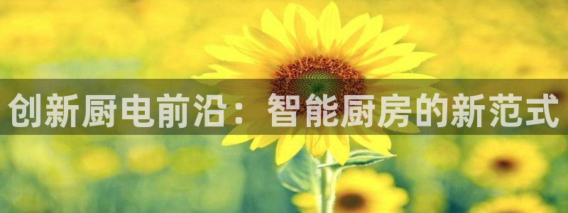 鸿运到平台在线客服