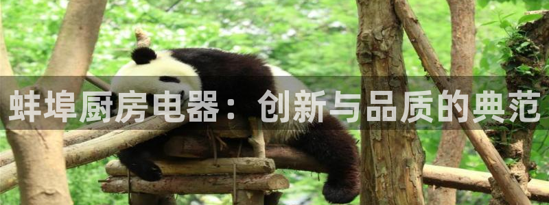 鸿运快三直播平台