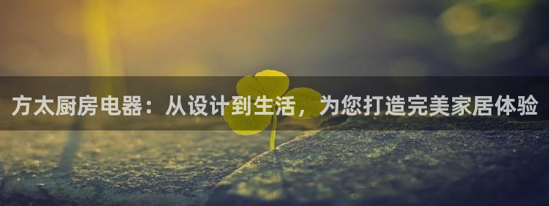 鸿运来投资平台