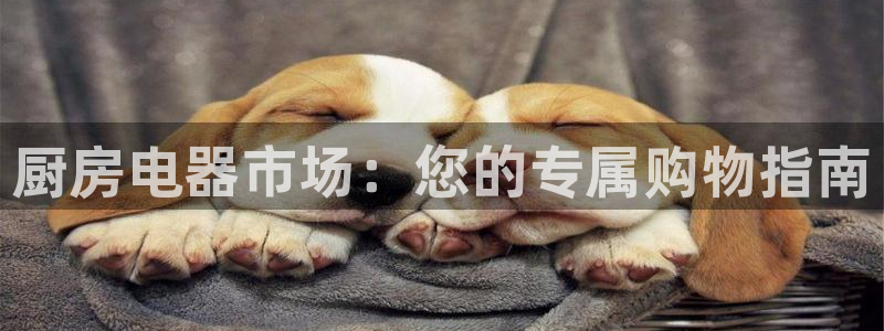 鸿运通平台