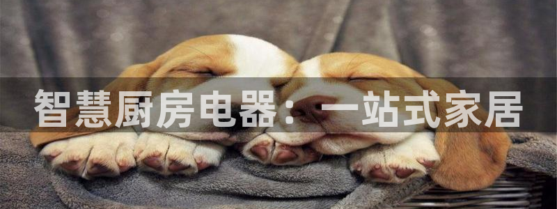 鸿运平台骗局揭秘