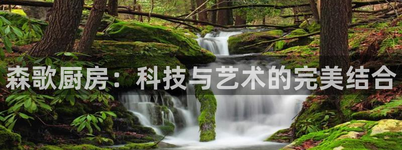 ZJ鸿运平台