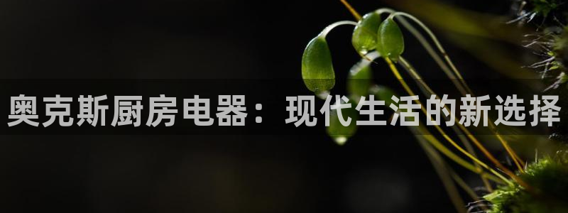 鸿运宝理财平台