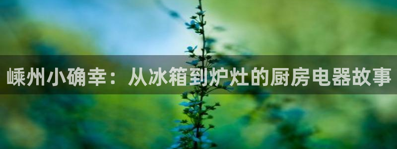 鸿运首选投资平台