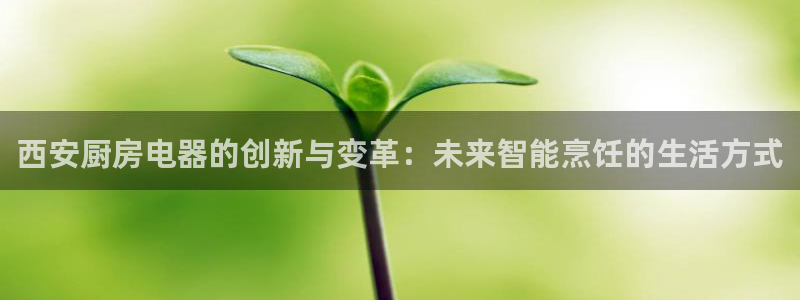 鸿运公司有哪些平台