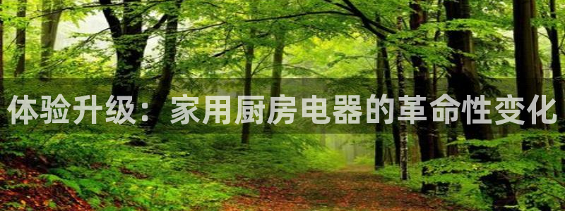 鸿运电商平台