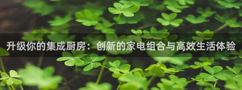 鸿运平台在线客服电话