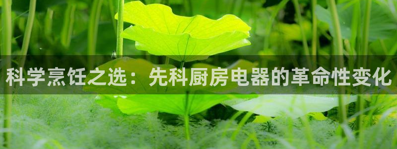 鸿运展业平台
