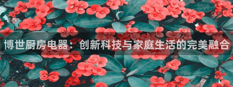 鸿运对战平台