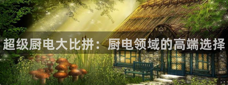 鸿运网彩票平台