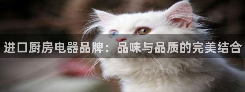 鸿运通娱乐平台