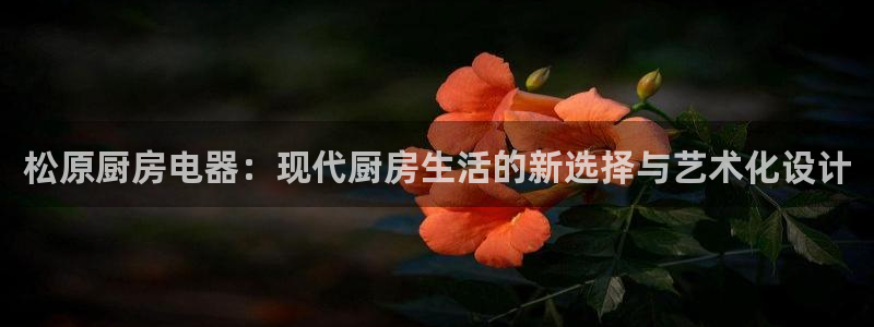 鸿运app是什么平台