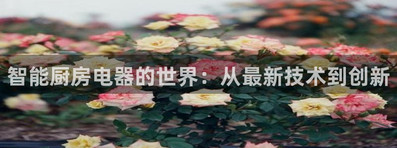 下载鸿运平台