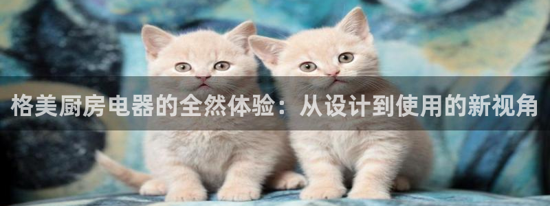 鸿运九九平台