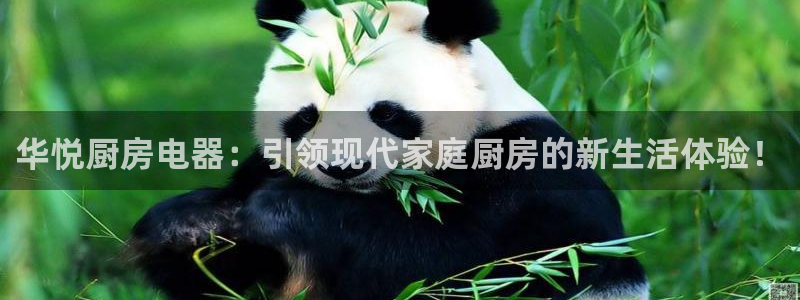 琥珀鸿运是啥平台