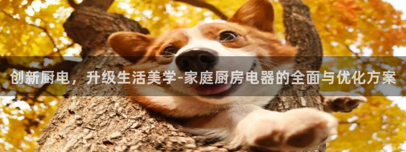 鸿运瓦罐团购平台