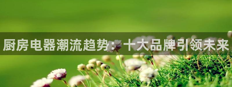 鸿运当头翡翠平台