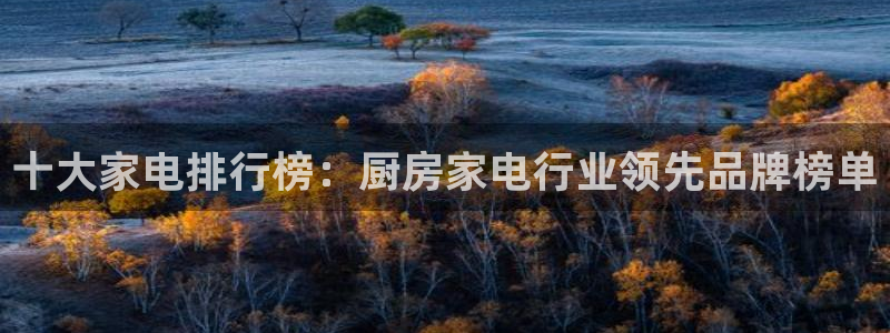 鸿运当头平台画