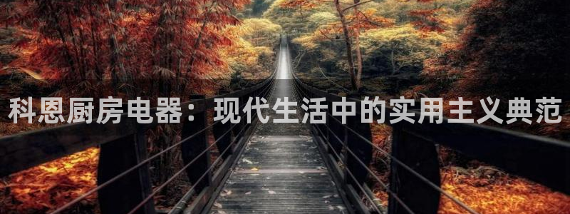 鸿运误乐平台