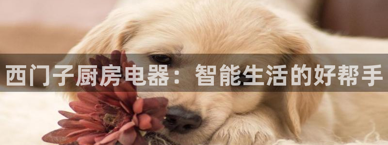 彩票鸿运直播平台