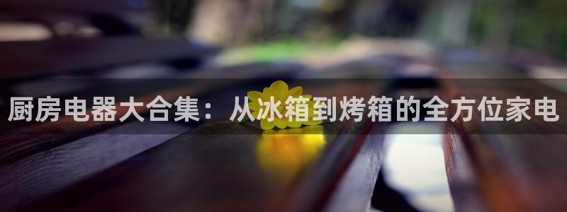 鸿运推广平台