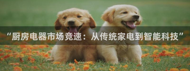 鸿运购是什么平台