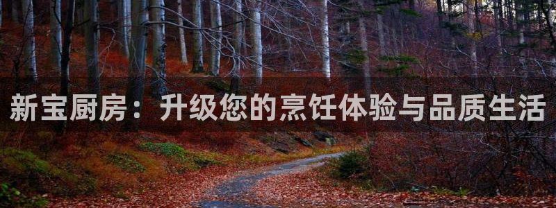 鸿运平台投资诈骗事件
