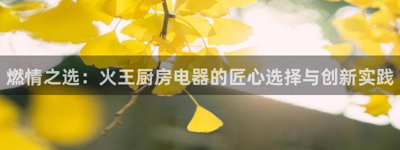 鸿运专业购彩平台