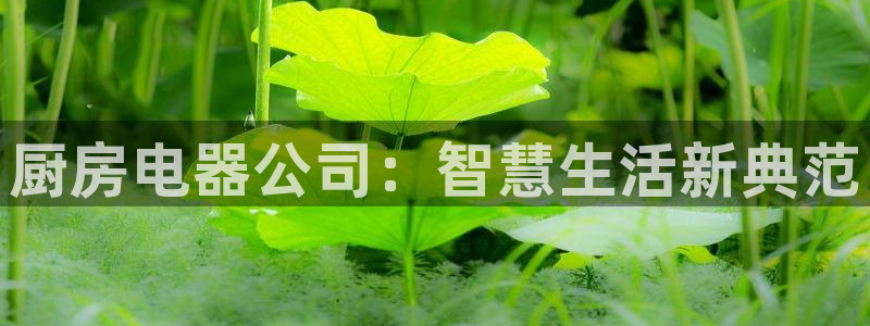 鸿运彩缘平台
