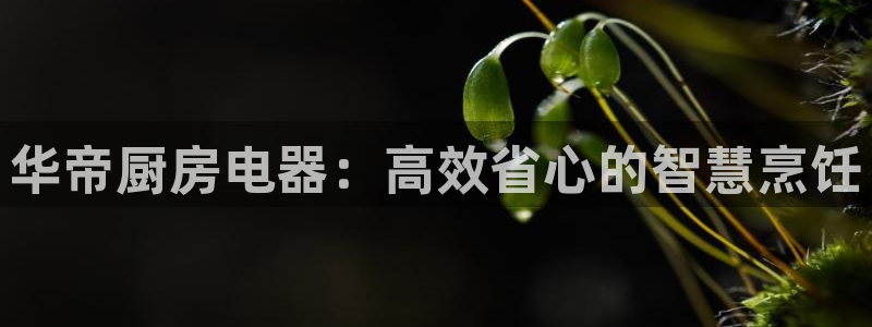 鸿运娱乐平台