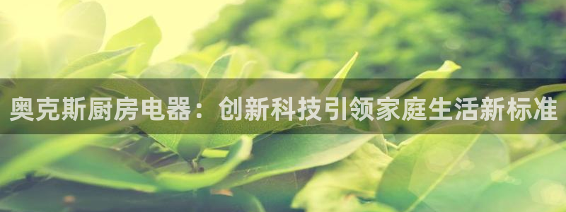鸿运平台代理代