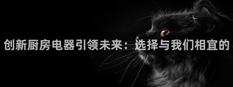 鸿运服务平台官网