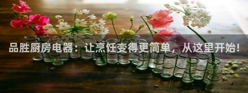 鸿运当头平台画
