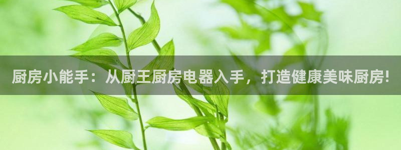 鸿运棋牌平台