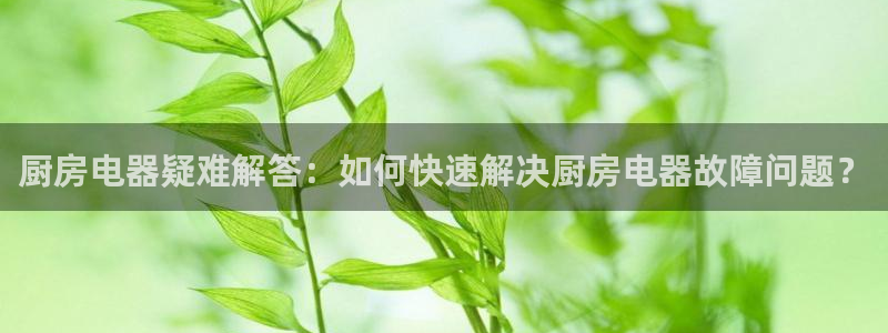 鸿运平台代理代