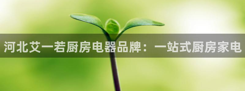 鸿运国际是什么游戏平台