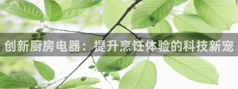 鸿运通贷款平台