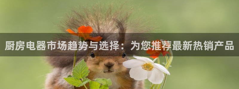 鸿运彩票是正规平台
