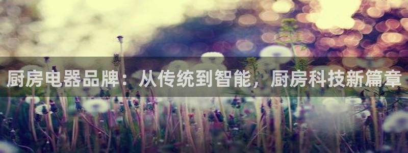 鸿运平台代理鸿运