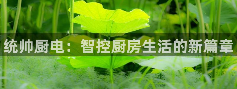 鸿运彩票是正常的平台吗