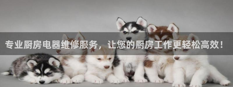 鸿运服务平台是什么平台