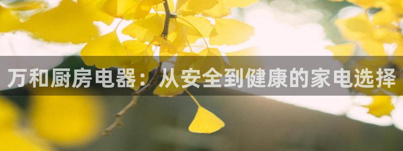 鸿运当头借款平台
