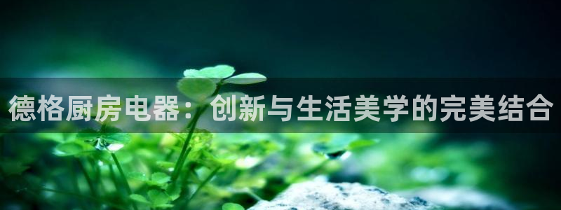 鸿运彩票平台可靠吗