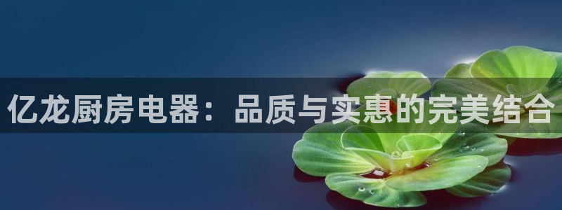 鸿运平台官方