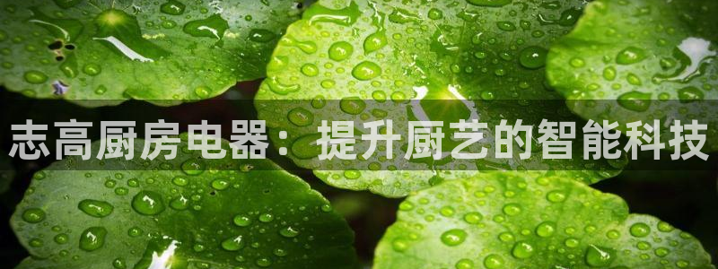 鸿运市场直播平台